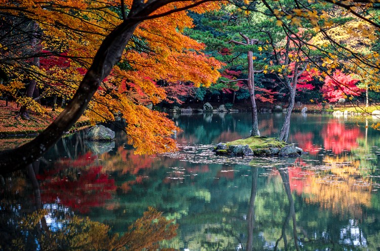 autumn-leaves-and-lake-in-kyoto-japan